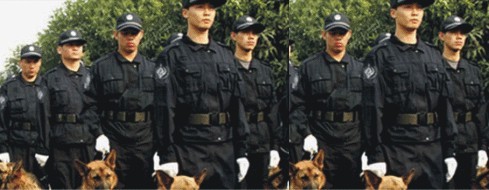 Write a new chapter in the security service industry